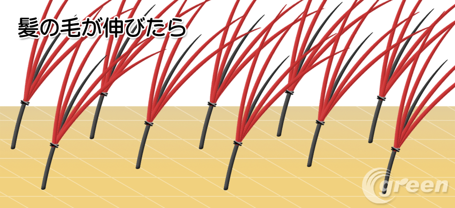 髪が伸びたら